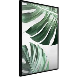 Arkiio Affisch Monstera Leaves [Poster] 30x45 Poster